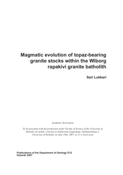 Magmatic evolution of topaz-bearing granite stocks within
