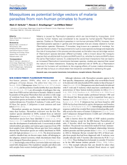 Mosquitoes as potential bridge vectors of malaria parasites from non