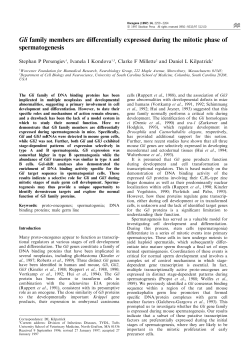 Gli family members are di erentially expressed during the mitotic