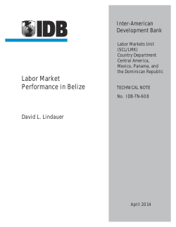 Labor Market Performance in Belize - Inter