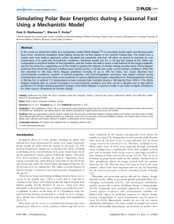 Simulating Polar Bear Energetics during a Seasonal Fast Using a
