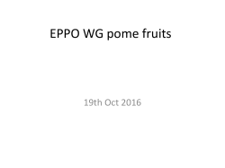 Pome fruit - Lists of EPPO Standards