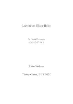 Lecture on Black Holes