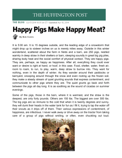 It is 5:00 am. It is 15 degrees outside, and the leading edge of a