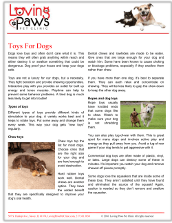 Toys for Dogs - Loving Paws Pet Clinic