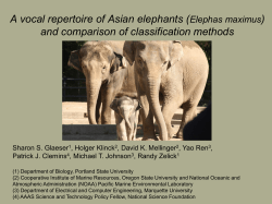 A vocal repertoire of Asian elephants