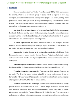Concept Note for Bamboo Sector Development in Gujarat
