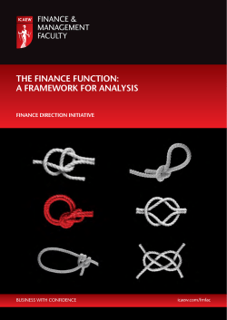 THE FINANCE FUNCTION: A FRAMEWORK FOR ANALySIS
