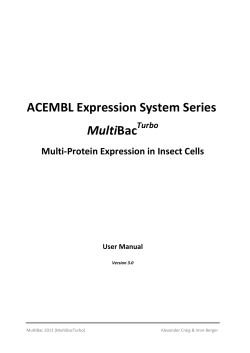MultiBac manual - University of Bristol