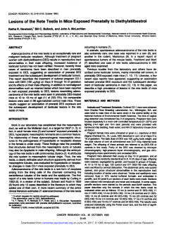Lesions of the Rete Testis in Mice Exposed