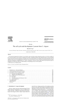 The cell cycle and development: Lessons from C. elegans