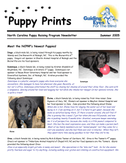 Puppy Prints - Guiding Eyes for the Blind