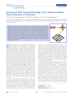 Structural DNA Nanotechnology: From Bases to Bricks, From