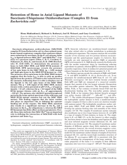(Complex II) from Escherichia coli