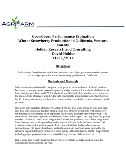 GrowGreen Performance Evaluation Winter Strawberry