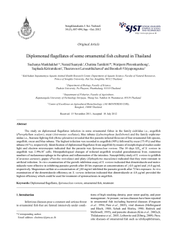 Diplomonad flagellates of some ornamental fish cultured in Thailand