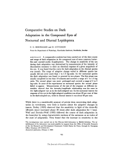 Comparative Studies on Dark Adaptation in the Compound Eyes of