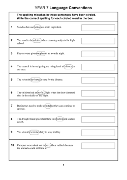 Set 4 Language conventions (PDF, 136 kB )