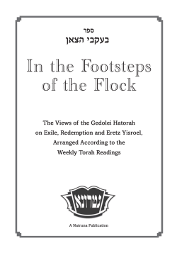 In the Footsteps of the Flock