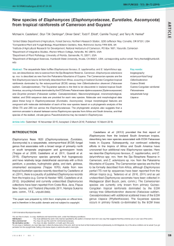AR TICLE New species of Elaphomyces