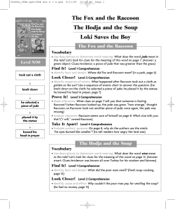 The Fox and the Raccoon The Hodja and the Soup Loki Saves the Boy