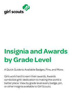 Insignia and Awards by Grade Level