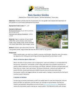 Rain Garden Similes
