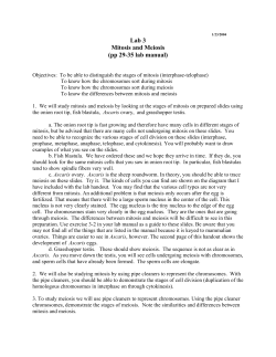 Lab 3 Mitosis and Meiosis (pp 29-35 lab manual)