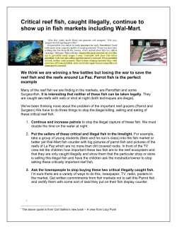 Critical reef fish, caught illegally, continue to show up in