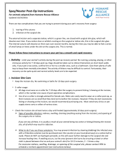 Spay/Neuter Post-Op Instructions
