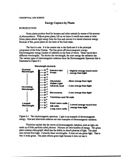 Energy Capture by Plants
