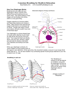 Conscious Breathing - Graceful Way Healing Arts