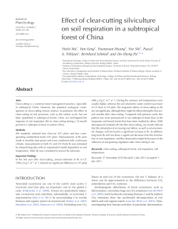 Effect of clear-cutting silviculture on soil