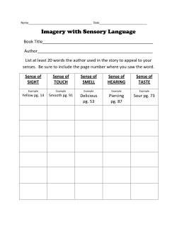Imagery with Sensory Language
