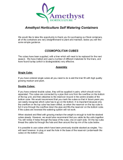 COSMOPOLITAN CUBES - Amethyst Horticulture