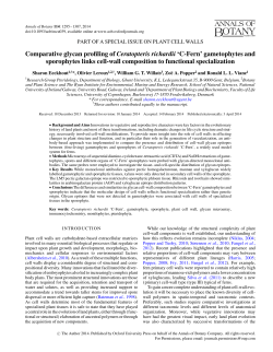 Comparative glycan profiling of Ceratopteris