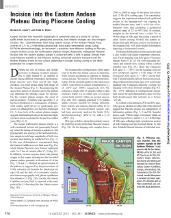 Incision into the Eastern Andean Plateau During Pliocene Cooling