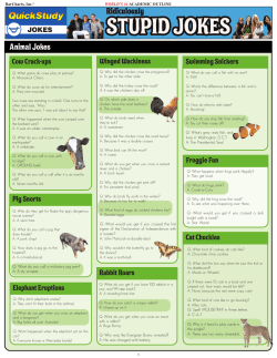 Stupid Jokes Free PDF