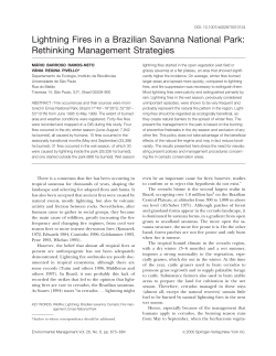 Lightning Fires in a Brazilian Savanna National Park: Rethinking