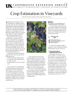HO-86: Crop Estimation in Vineyards