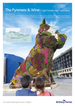 Pyrenees and Wine - Brittany Ferries