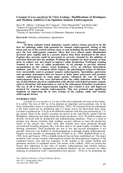 Coconut (Cocos nucifera) In Vitro Ecology: Modifications of