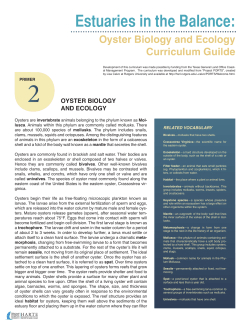 OYSTER BIOLOGY AND ECOLOGY