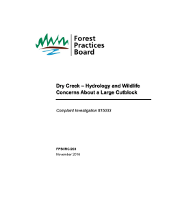 Dry Creek &ndash; Hydrology and Wildlife Concerns About a Large Cutblock
