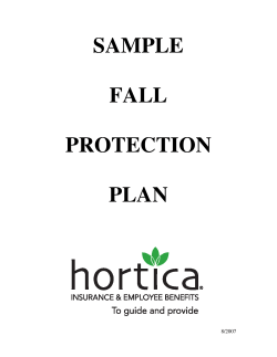 SAMPLE FALL PROTECTION PLAN
