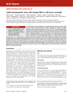 Adult hematopoietic stem cells lacking Hif-1&alpha; self