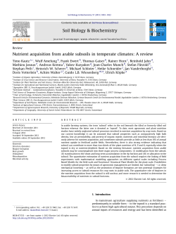 Kautz T., Amelung W., Ewert E., Gaiser T., Horn R., Jahn R