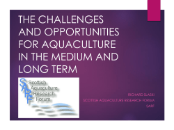 the challenges and opportunities for aquaculture in the medium and