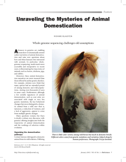 Unraveling the Mysteries of Animal Domestication