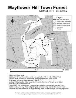 Mayflower Hill Town Forest